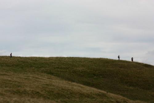 IMG 4540