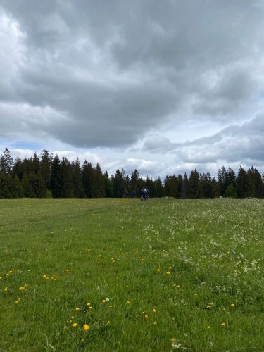 IMG-20260517-WA0009